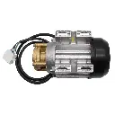 Wasserpumpe CEME MTP 600HP Hoher Kasten mit Cloos Stecker 230V - 3131 8 (6).webp