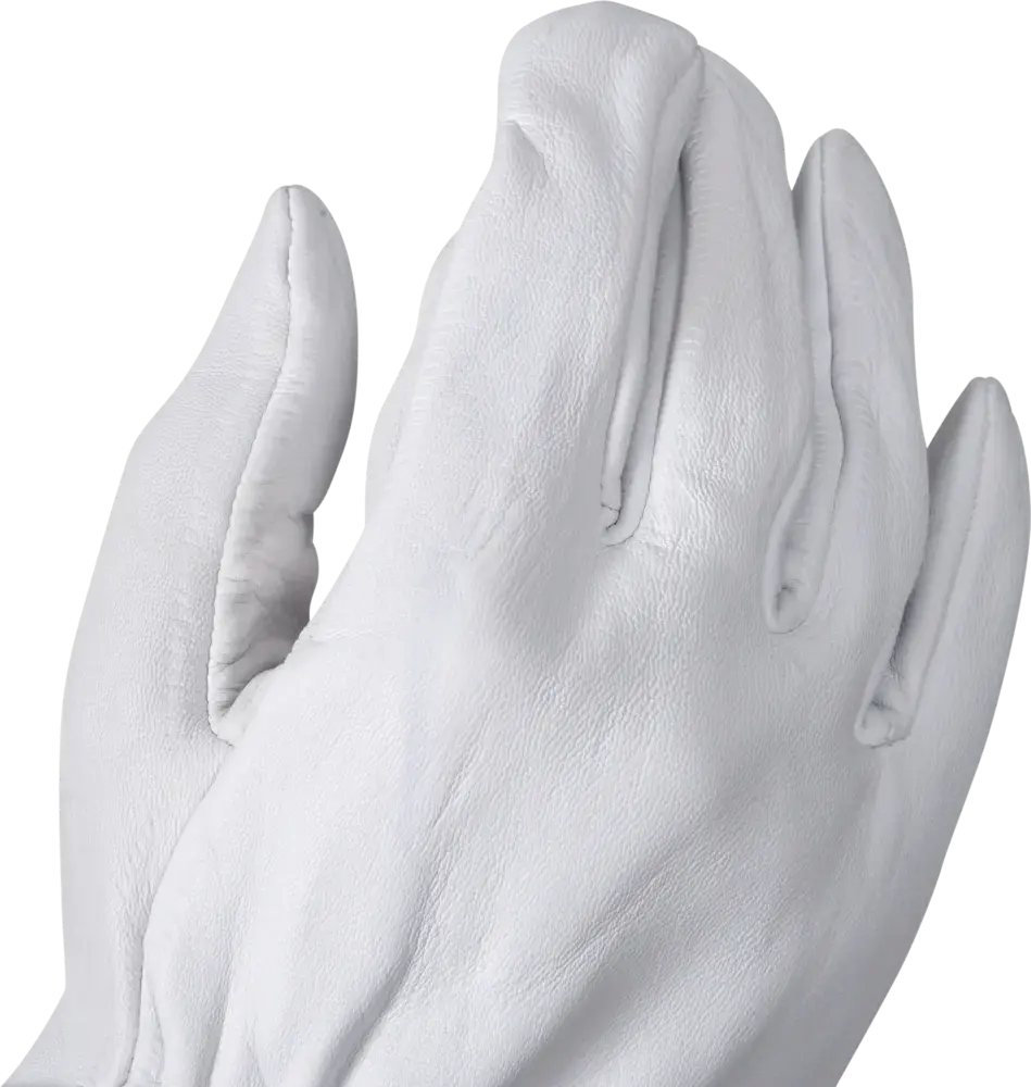 R107572-PreviewWebP.webp