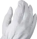 R107572-PreviewWebP.webp
