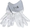 R107570-PreviewWebP.webp