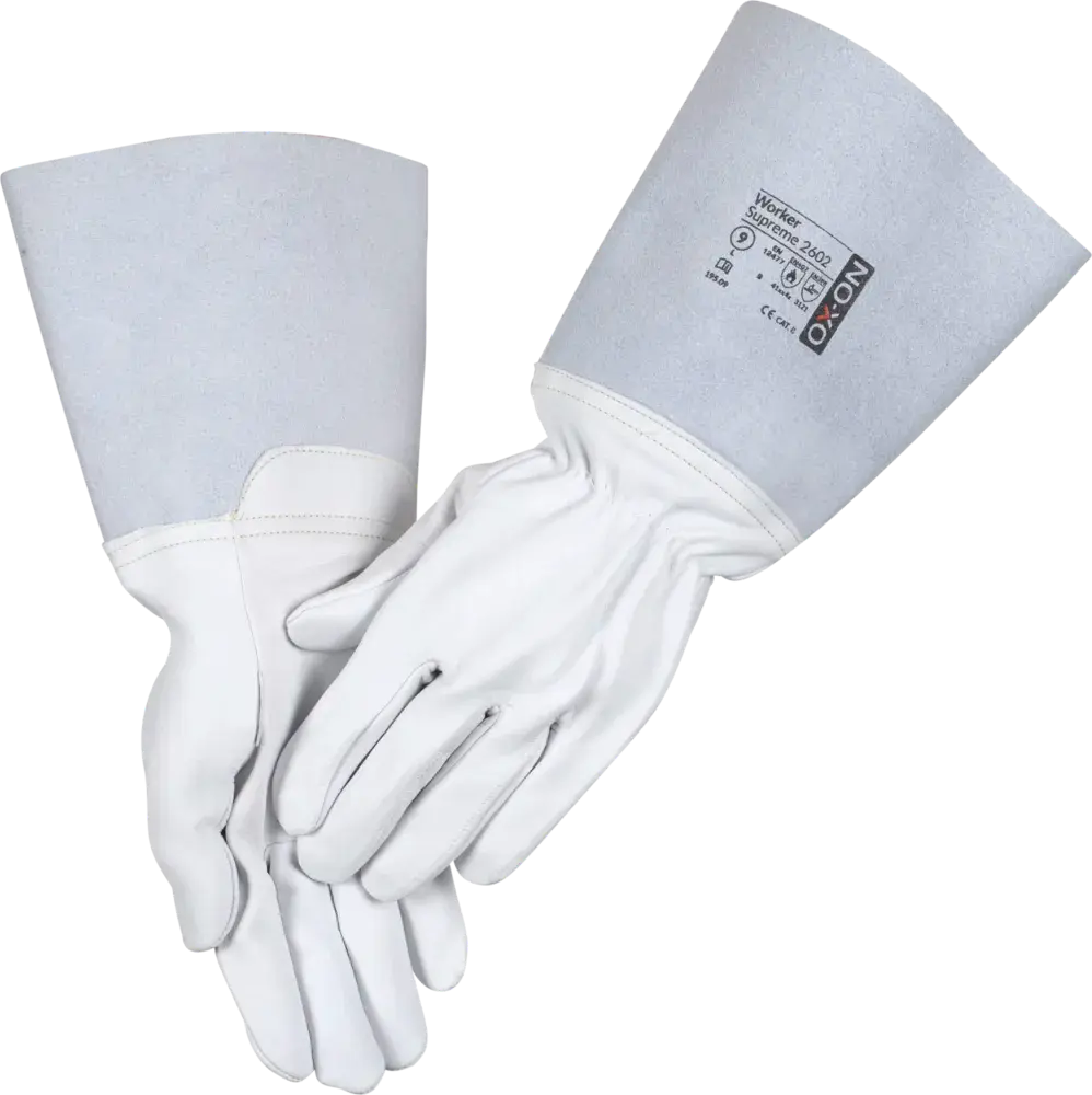 R107567-PreviewWebP.webp