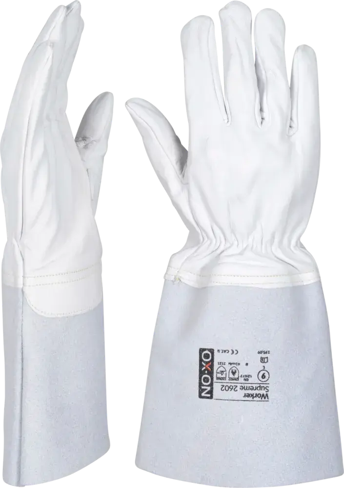 R107568-PreviewWebP.webp