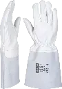 R107568-PreviewWebP.webp