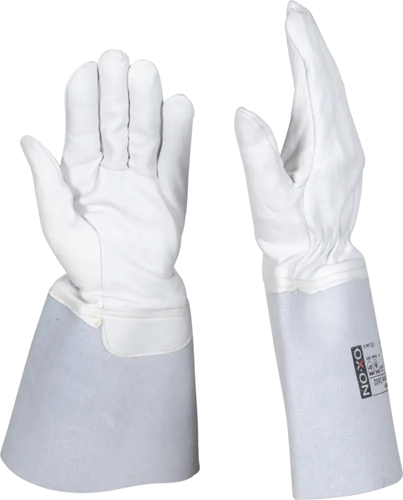 R107569-PreviewWebP.webp