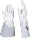 R107569-PreviewWebP.webp