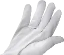 R107573-PreviewWebP.webp