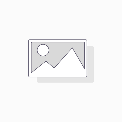 Stabelektrode 1.4370 – Ø 3,2 mm | 10 Stk. | 350 mm Länge | in Aufbewahrungsbox